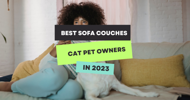 Best Sofa Couches for Cat Dog Owners in 2023