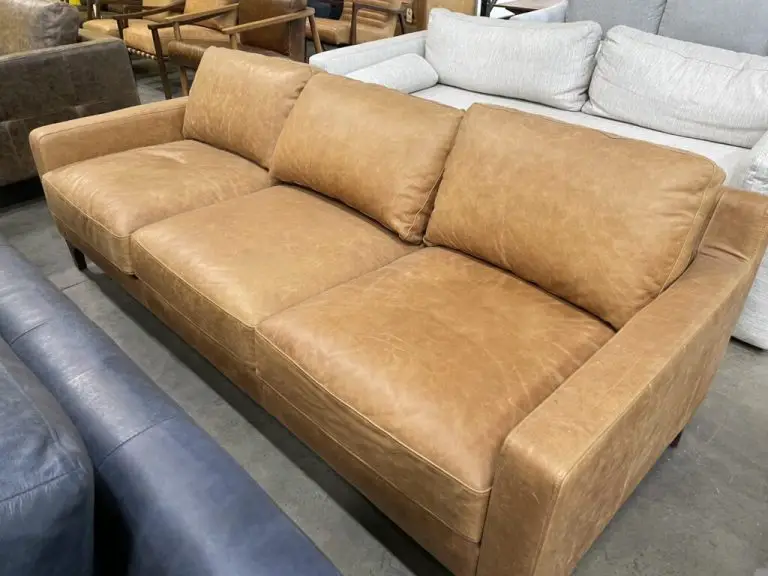 Poly and Bark Sofa Reviews: Decoding Quality and Durability