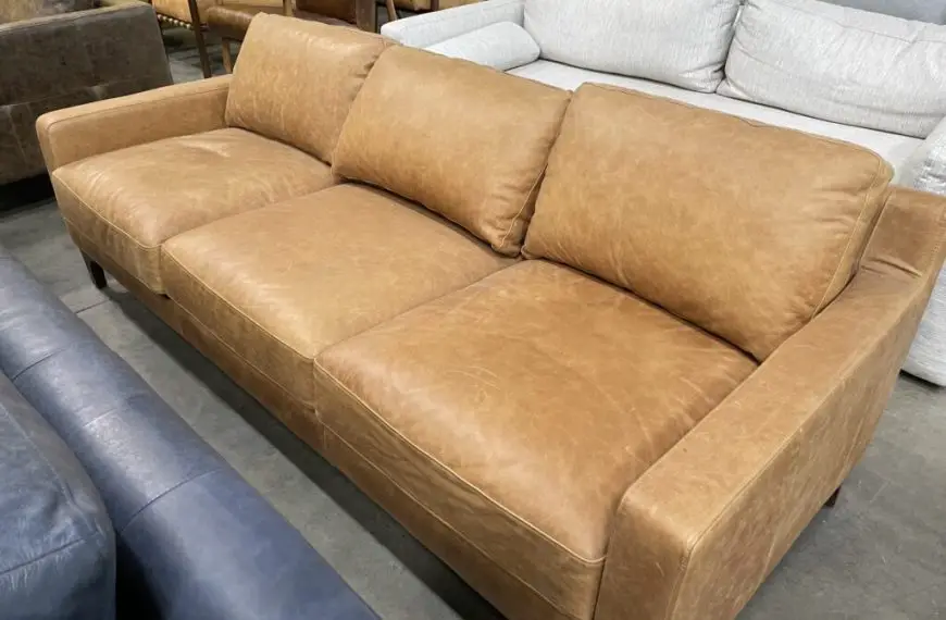 Poly and Bark Sofa Reviews: Decoding Quality and Durability
